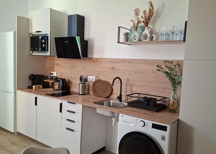 Conchabeach Appartement